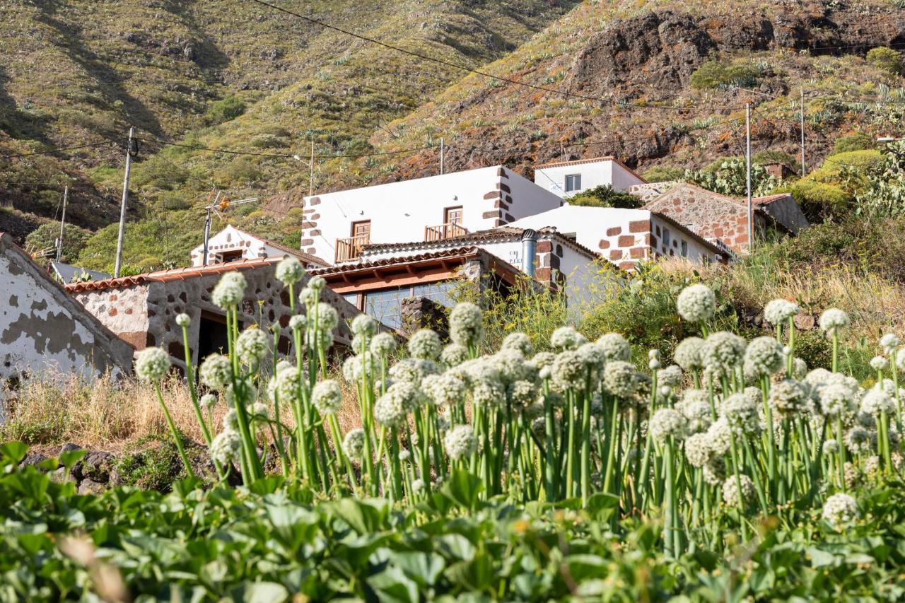 Home2Book Nature Carrizales And Masca House & Wifi Buenavista Del Norte Exterior foto