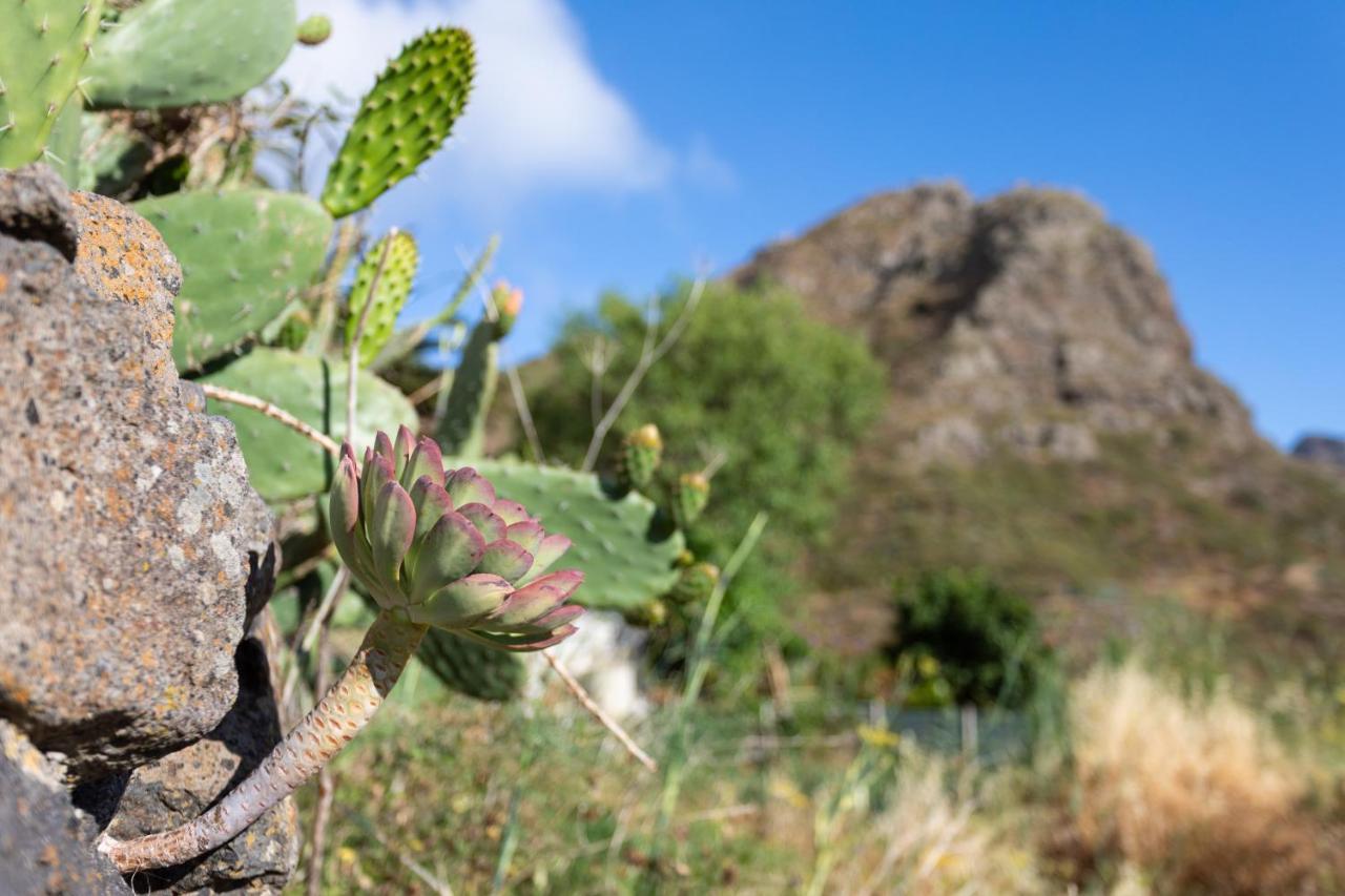 Home2Book Nature Carrizales And Masca House & Wifi Buenavista Del Norte Exterior foto